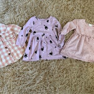 Bundle: 2 dresses and 1 flannel-baby girl